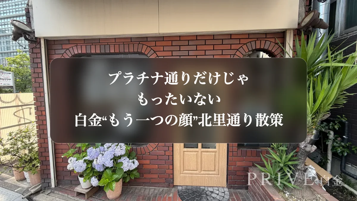 Don't Leave After Platinum Street: Shirokane's Pre-War Backstreet Most Visitors Miss