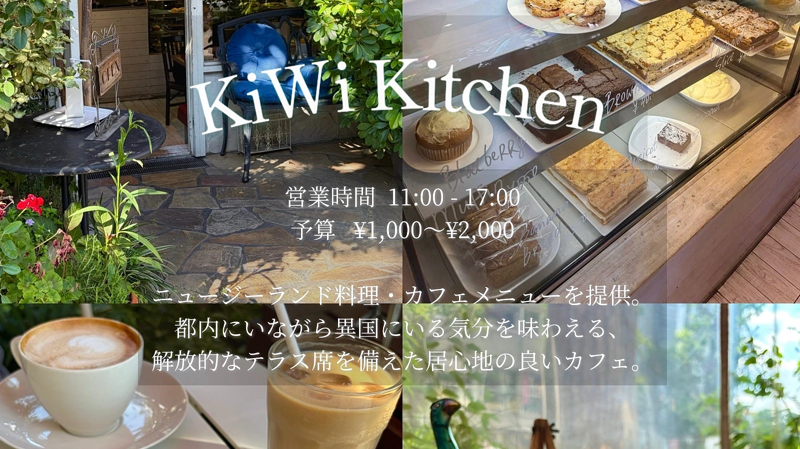 Kiwi Kitchen